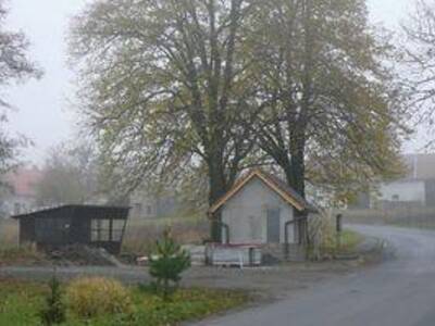 v-pozad-pvodn-plechov-ekrna