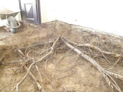 zahjen-opravy-kapliky-v-josefov-92010