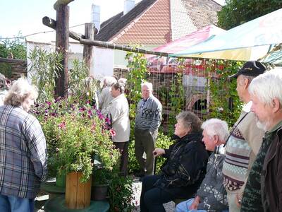 zjezd-do-znojma-9-2013