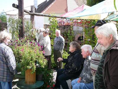 zjezd-do-znojma-9-2013