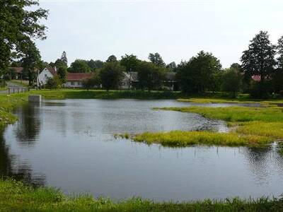 odbahnn-nvesnho-rybnka-ve-zlatkov