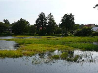 odbahnn-nvesnho-rybnka-ve-zlatkov