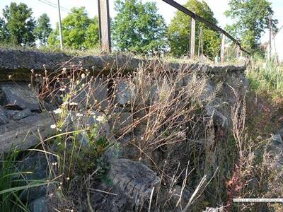 odbahnn-nvesnho-rybnka-ve-zlatkov