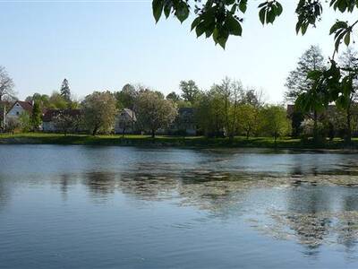 odbahnn-nvesnho-rybnka-ve-zlatkov