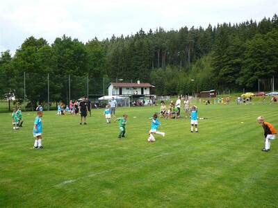 10-let-organizovan-kopan-v-ron-2012