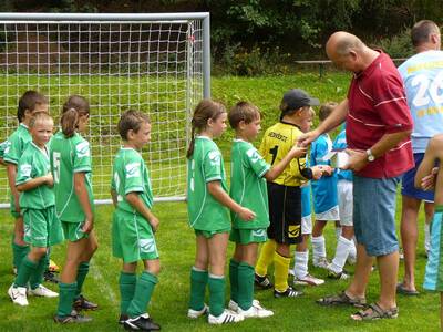 10-let-organizovan-kopan-v-ron-2012