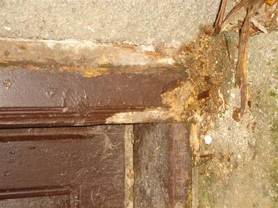 zahjen-opravy-kapliky-v-josefov-92010